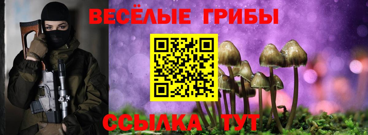 Тобольск  Галлюциногенные грибы GOLDEN TEACHER  Вход с VPN  Псилоцибиновые грибы мицелий 